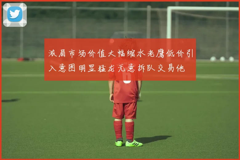 浓眉市场价值大幅缩水老鹰低价引入意图明显猛龙无意拆队交易他