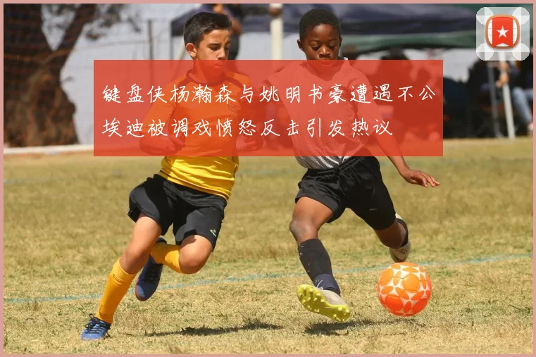 键盘侠杨瀚森与姚明书豪遭遇不公埃迪被调戏愤怒反击引发热议