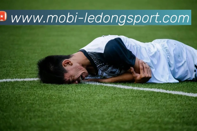 乐动体育服务体系